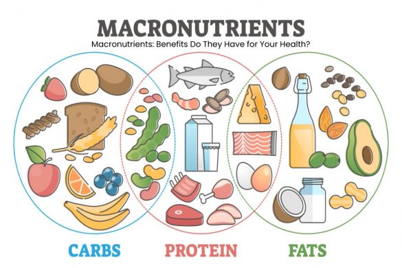 Macronutrients