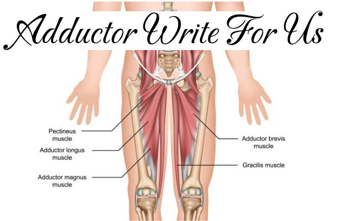 Adductor Write for Us