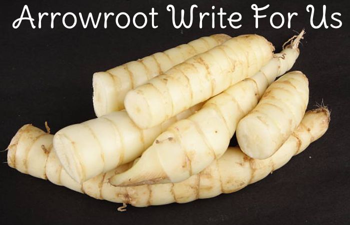 Arrowroot Write For Us