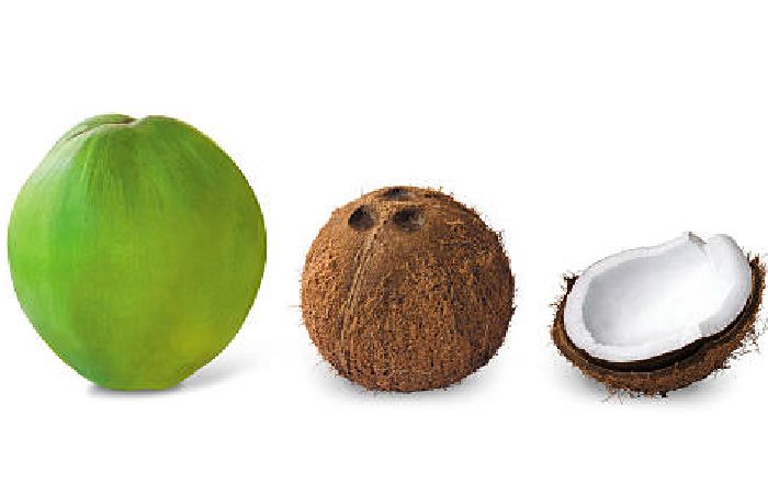 Types of Coconuts: