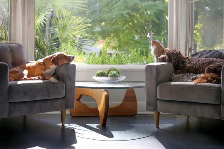 Nine Tips for a Calm Home
